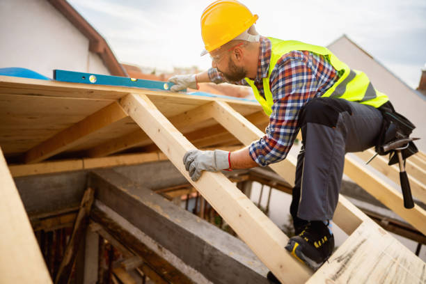 Best Roof Gutter Cleaning  in Auburn Lake Trails, CA